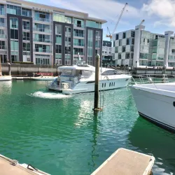 Viaduct Harbour - Auckland