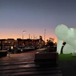 Viaduct Harbour - Auckland