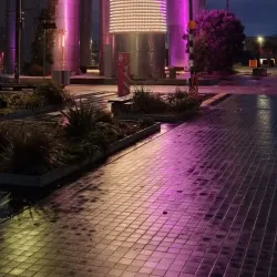 Viaduct Harbour - Auckland