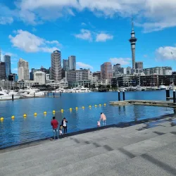 Viaduct Harbour - Auckland