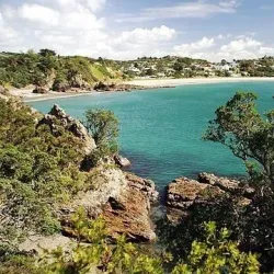 Waiheke Island - Auckland