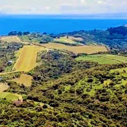 Waiheke Island - Auckland