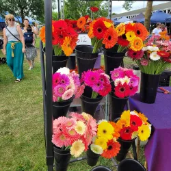 Blenheim Market - Blenheim