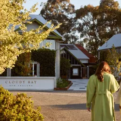 Cloudy Bay Vineyards - Blenheim