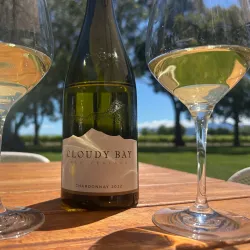 Cloudy Bay Vineyards - Blenheim