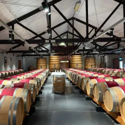 Cloudy Bay Vineyards - Blenheim