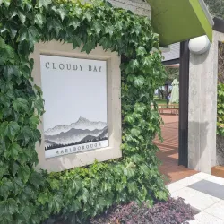 Cloudy Bay Vineyards - Blenheim