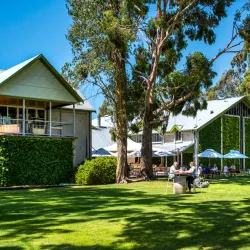 Cloudy Bay Vineyards - Blenheim