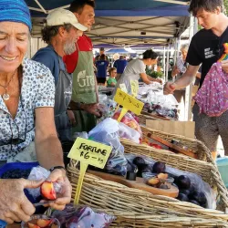Marlborough Farmers' Market - Blenheim