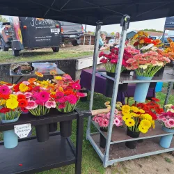 Marlborough Farmers' Market - Blenheim