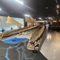 Marlborough Museum - Blenheim