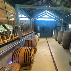 Marlborough Wine Region - Blenheim