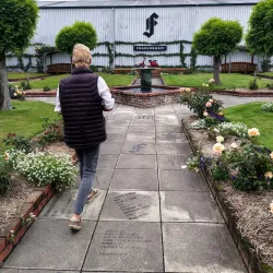 Marlborough Wine Region - Blenheim