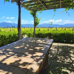 Marlborough Wine Region - Blenheim