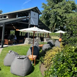 Marlborough Wine Region - Blenheim