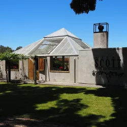 Marlborough Wine Region - Blenheim