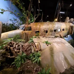 Omaka Aviation Heritage Centre - Blenheim