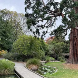 Pollard Park - Blenheim