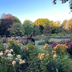 Pollard Park - Blenheim