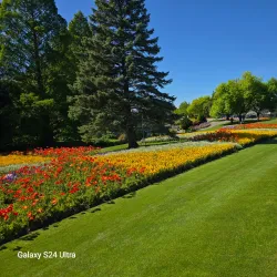 Pollard Park - Blenheim