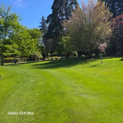 Pollard Park - Blenheim