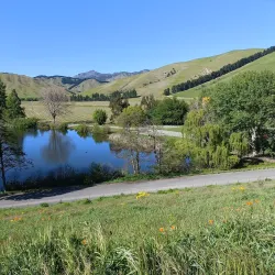 Taylor River Reserve - Blenheim