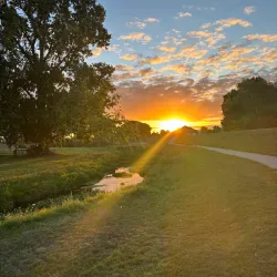 Taylor River Reserve - Blenheim
