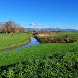 Taylor River Reserve - Blenheim