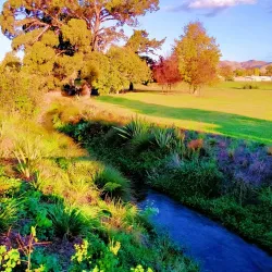 Taylor River Reserve - Blenheim