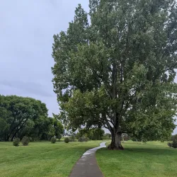 Taylor River Reserve - Blenheim