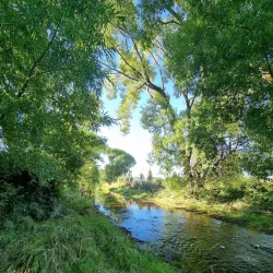 Taylor River Reserve - Blenheim