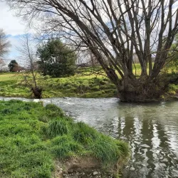Taylor River Reserve - Blenheim