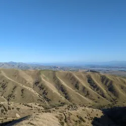Wither Hills Farm Park - Blenheim