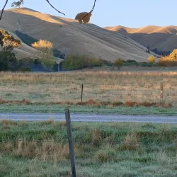 Wither Hills Farm Park - Blenheim