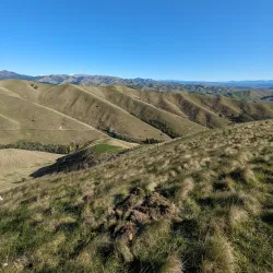 Wither Hills Farm Park - Blenheim