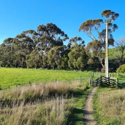 Wither Hills Farm Park - Blenheim