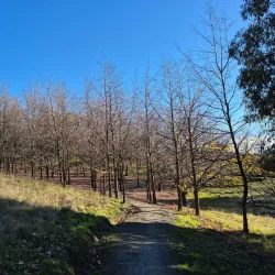 Wither Hills Farm Park - Blenheim