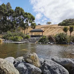 Wither Hills Farm Park - Blenheim