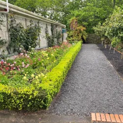 Cambridge Botanical Gardens - Cambridge