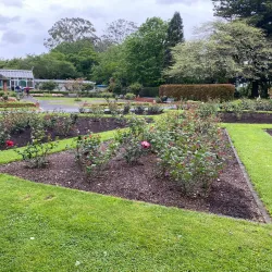 Cambridge Botanical Gardens - Cambridge