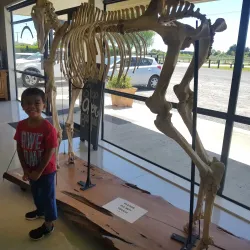 Cambridge Equestrian Centre - Cambridge