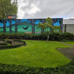 Cambridge Museum - Cambridge