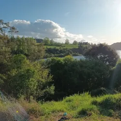 Lake Karapiro - Cambridge