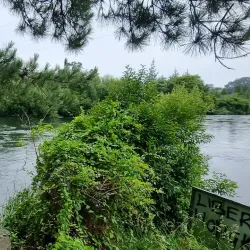 Lake Karapiro - Cambridge