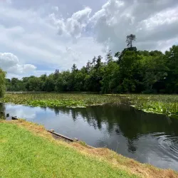 Lake Te Koo Utu - Cambridge