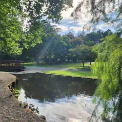 Lake Te Koo Utu - Cambridge