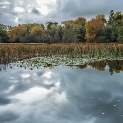 Lake Te Koo Utu - Cambridge