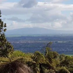 Maungakawa Scenic Reserve - Cambridge
