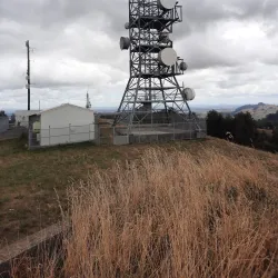 Maungakawa Scenic Reserve - Cambridge
