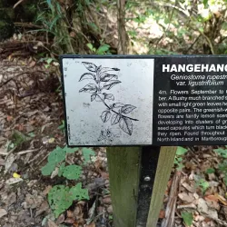 Maungakawa Scenic Reserve - Cambridge